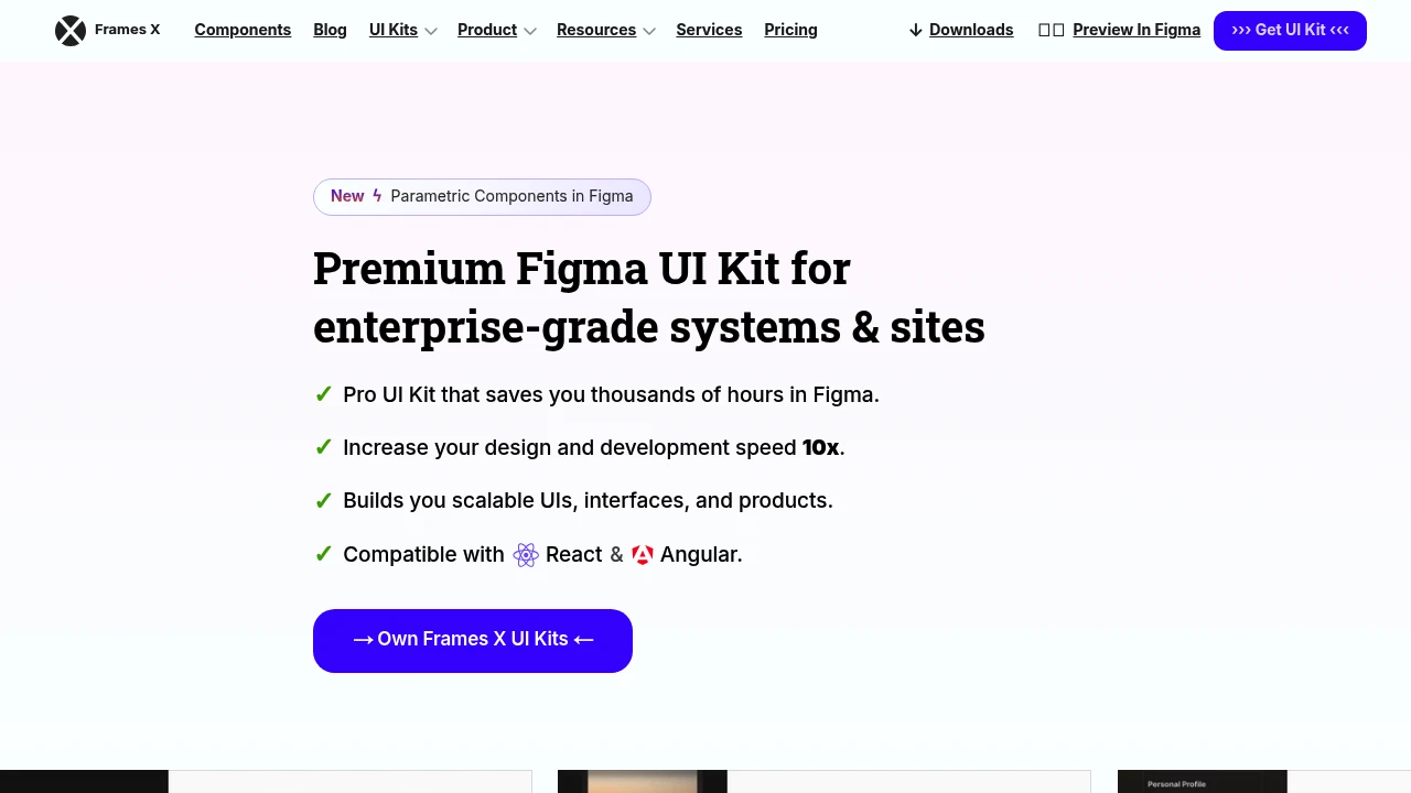 A screenshot of Frames X